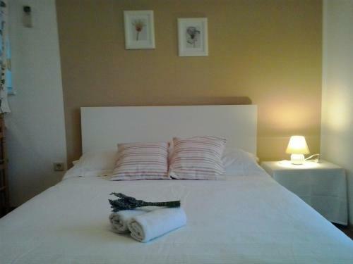 Apartments Anita Frane
