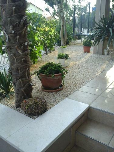 Apartments Anita Frane
