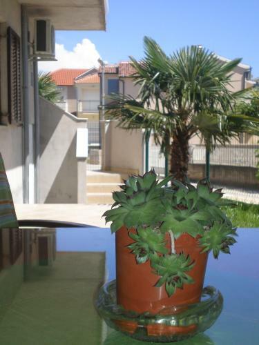 Apartments Anita Frane