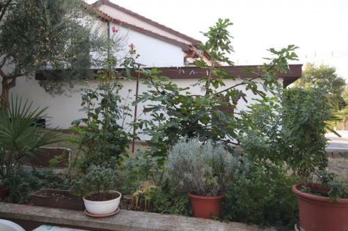 Hostal Studio Dajla 6935a