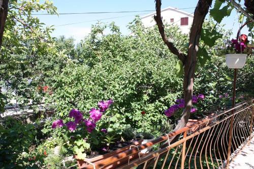 Apartment Barbat 4977a
