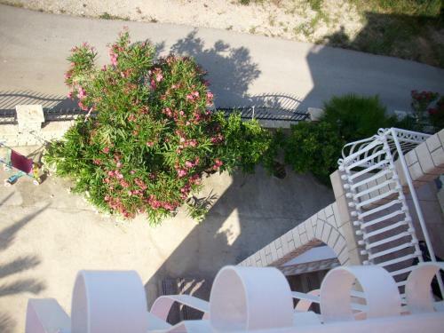 Apartments Tonimir