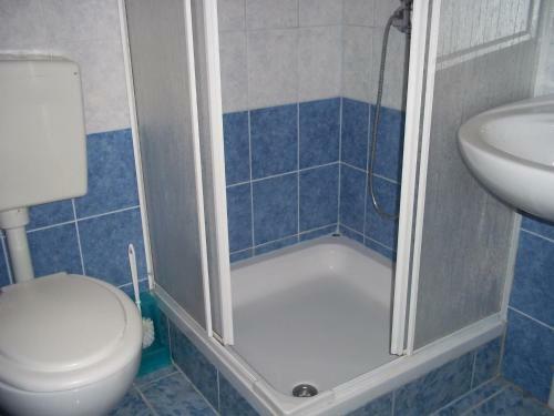 Two-bedroom Apartment In Novigrad Viii