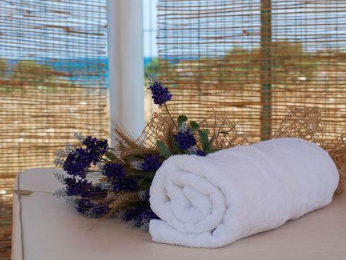 Apartamento Holiday Home Camping Kastanija.3