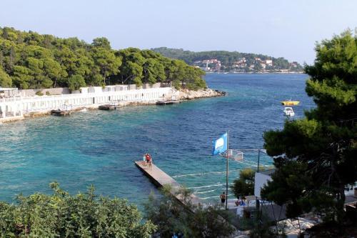 Apartments By The Sea Hvar - 4591