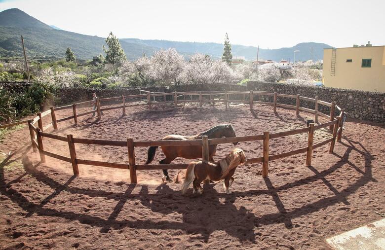 Hotel Se�orio Del Valle