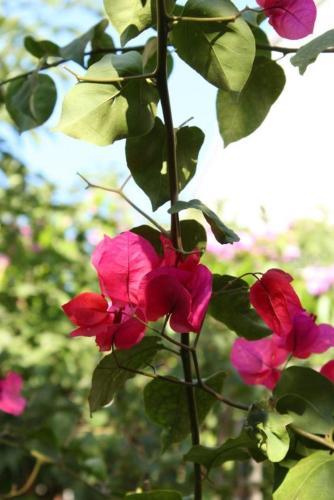 Hostal Twin Room Makarska 6834a