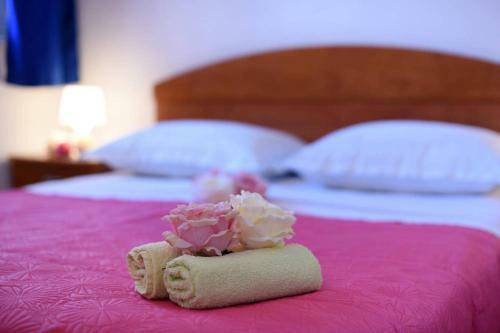 Apartments Sea Star Ivana