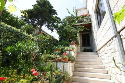 Hostal House Cvetka