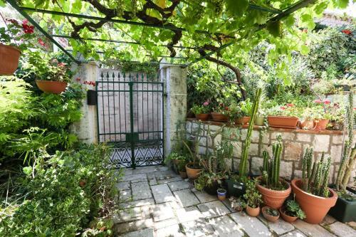 Hostal House Cvetka