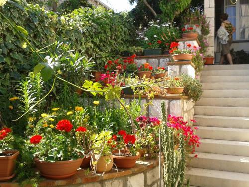 Hostal House Cvetka