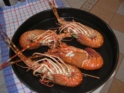 Apartamentos Villa Stella