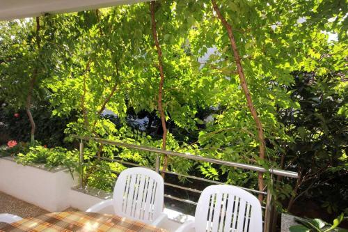 Apartments With A Parking Space Novalja (pag) - 9327