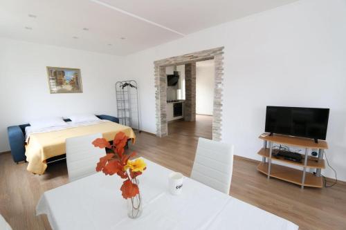 Apartments With A Parking Space Novalja (pag) - 9327