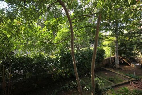 Apartments With A Parking Space Novalja (pag) - 9327