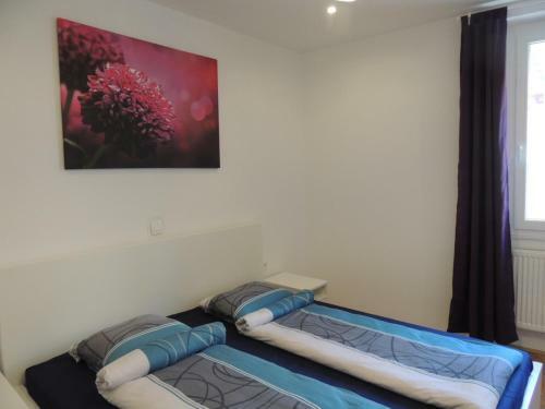 Apartment Evelux