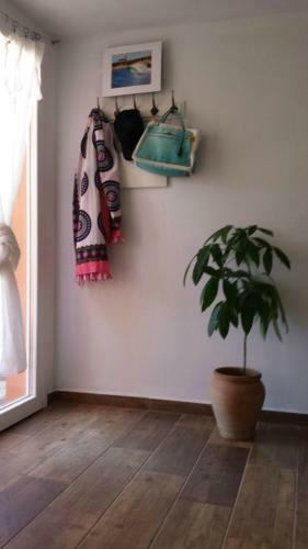 Apartamento Tirreno