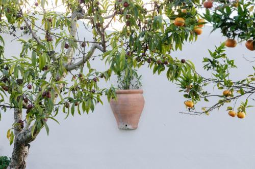 Agroturismo Casa Lola