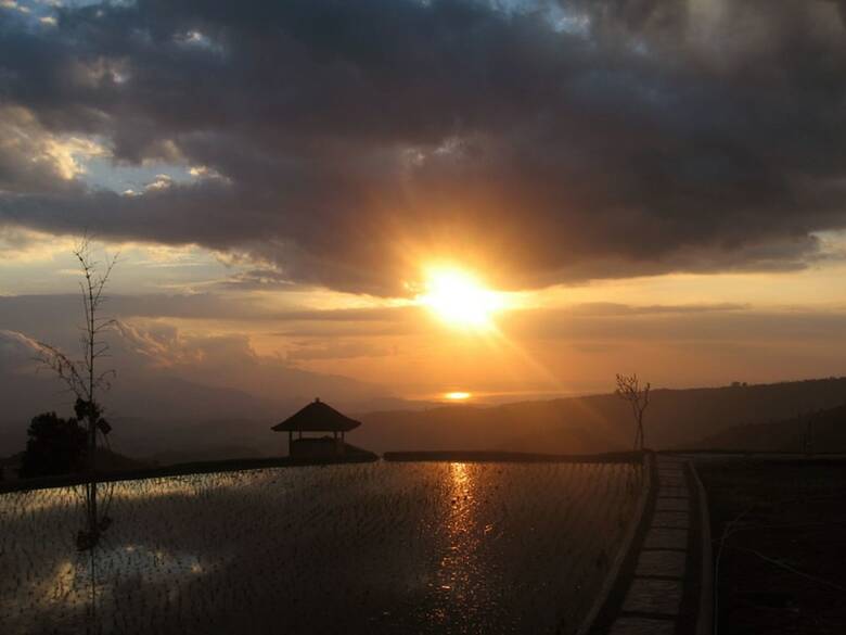 Hotel Puri Lumbung Cottages