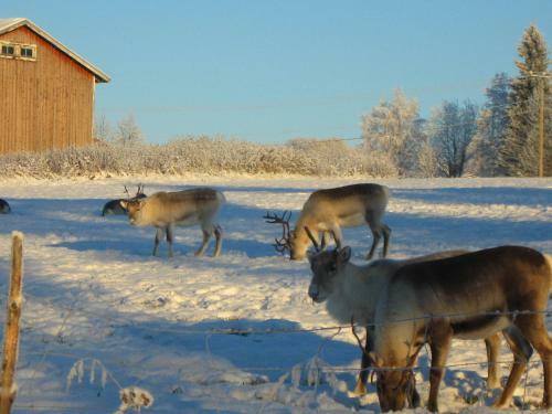 Posada Kieringin Majatalo