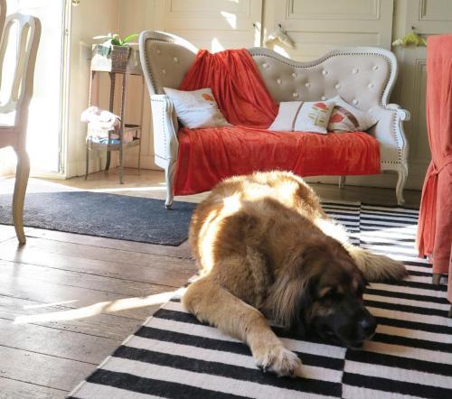 Bed & Breakfast Le Jardin De Gustave