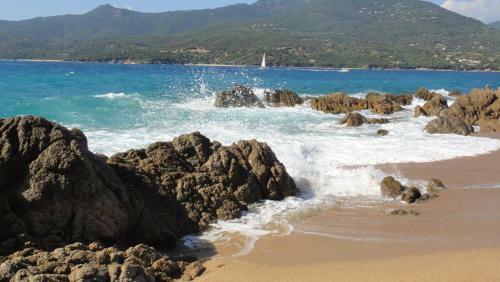 Apartamentos R�sidence Casa R�gina