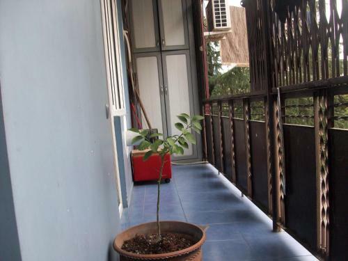 Georgia Batumi Apartment
