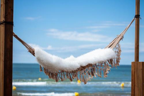 Hotel La Plage Art Et Emotions