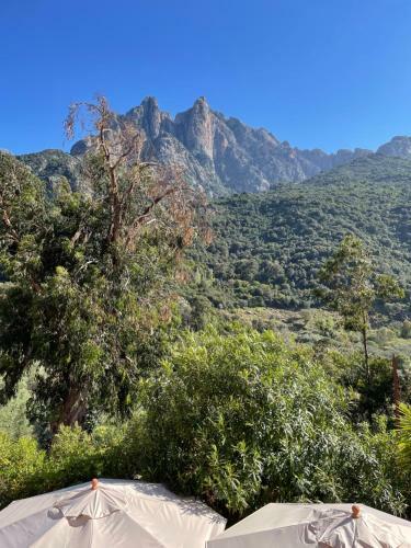 Logis Hotel Le Lonca