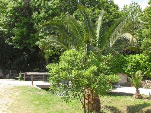 Posada Chambres Le Relais De Sisco