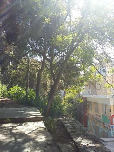 Apartamento Home In Centre Mavromichali