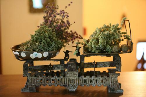 Apartamento Althea Guesthouse