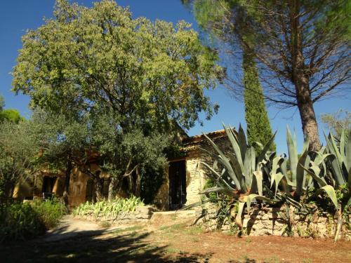 Apartamento Les Olives