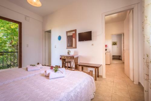 Hostal Physis Studios