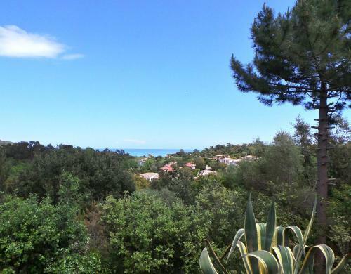 Aparthotel Apartments & Villas Olmuccio