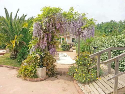 Aparthotel Apartments & Villas Olmuccio