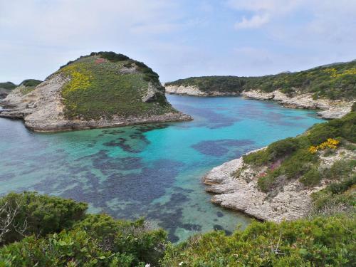 Aparthotel Apartments & Villas Olmuccio