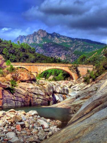 Aparthotel Apartments & Villas Olmuccio