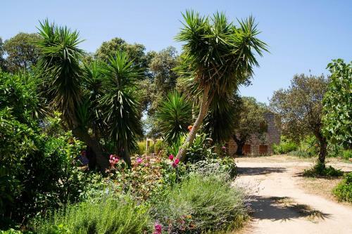 Bed & Breakfast I Casilari
