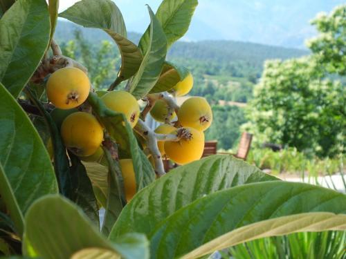 Bed & Breakfast Chambre D'hote La Chataigneraie
