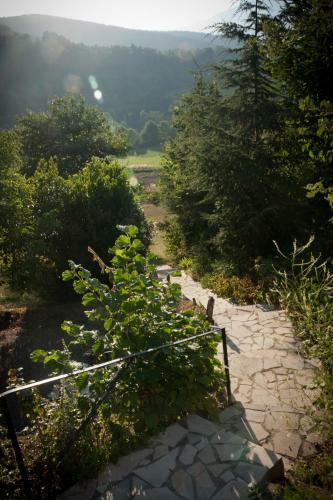Bed & Breakfast Chambre D'hote La Chataigneraie