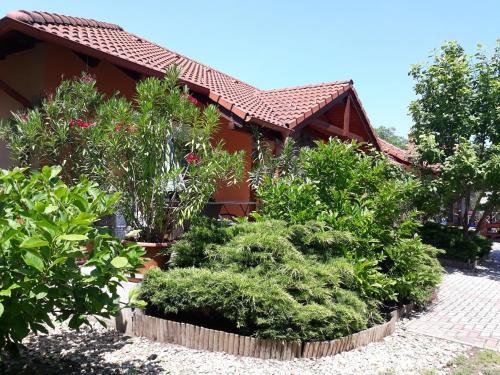 �zon Apartment
