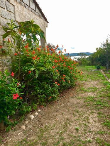 Villa Marina Di Fiori Pezza Cardo