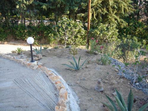 Apartamento Bouganville Studios Stegna