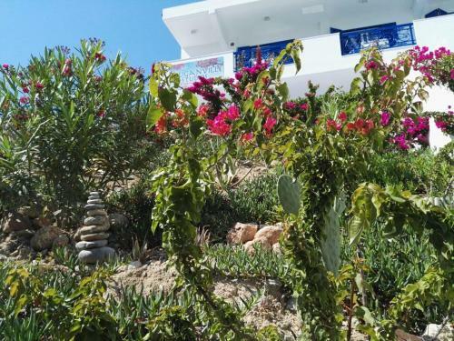 Apartamento Bouganville Studios Stegna