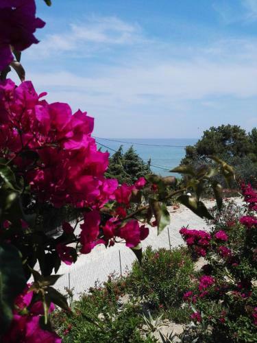 Apartamento Bouganville Studios Stegna