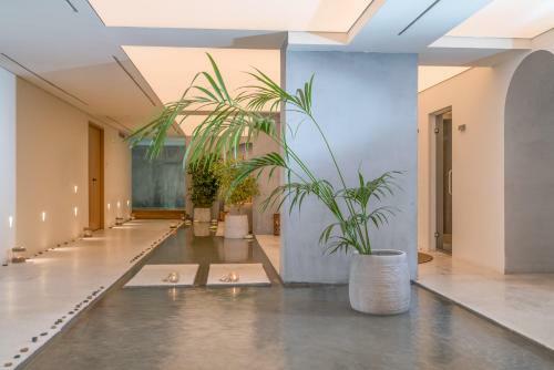 Hotel Caravel Suites - Adults Only