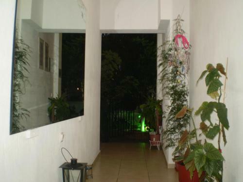 Apartamento Studios Zoi