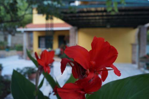 Apartamento Villa Sofia