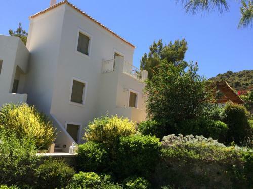 Villa Xenon Estate